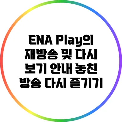 ENA Play의 재방송 및 다시 보기 안내: 놓친 방송 다시 즐기기