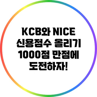 KCB와 NICE 신용점수 올리기: 1000점 만점에 도전하자!