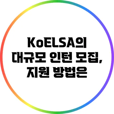 KoELSA의 대규모 인턴 모집, 지원 방법은?