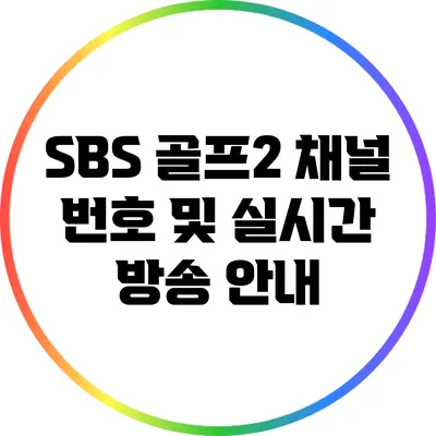 SBS 골프2 채널 번호 및 실시간 방송 안내