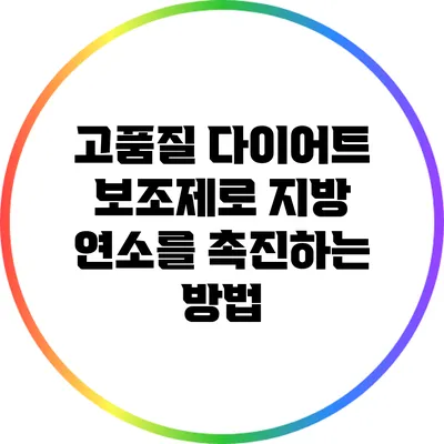 고품질 다이어트 보조제로 지방 연소를 촉진하는 방법
