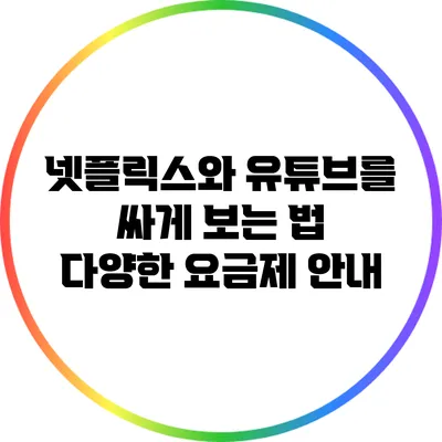 넷플릭스와 유튜브를 싸게 보는 법: 다양한 요금제 안내