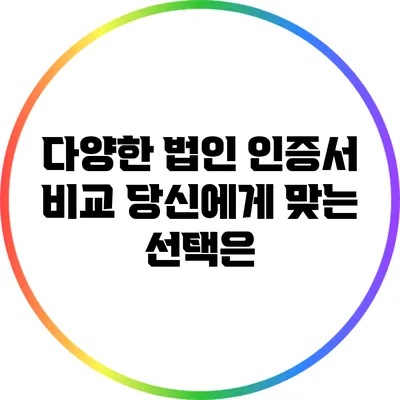 다양한 법인 인증서 비교: 당신에게 맞는 선택은?