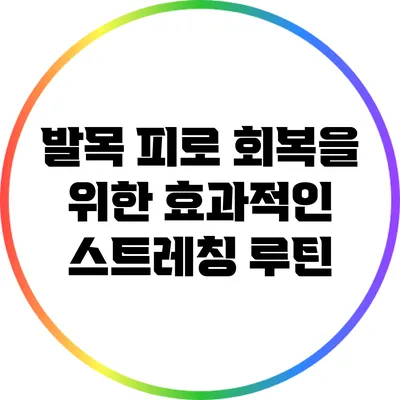 발목 피로 회복을 위한 효과적인 스트레칭 루틴