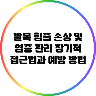 발목 힘줄 손상 및 염증 관리: 장기적 접근법과 예방 방법