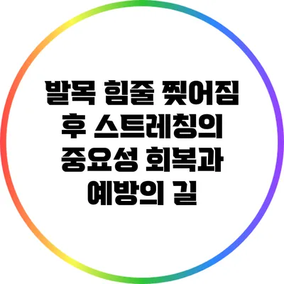 발목 힘줄 찢어짐 후 스트레칭의 중요성: 회복과 예방의 길
