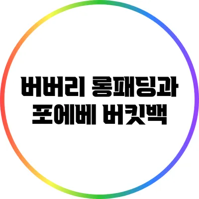 버버리 롱패딩과 포에베 버킷백
