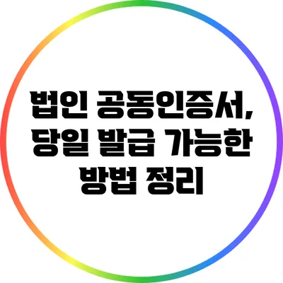 법인 공동인증서, 당일 발급 가능한 방법 정리