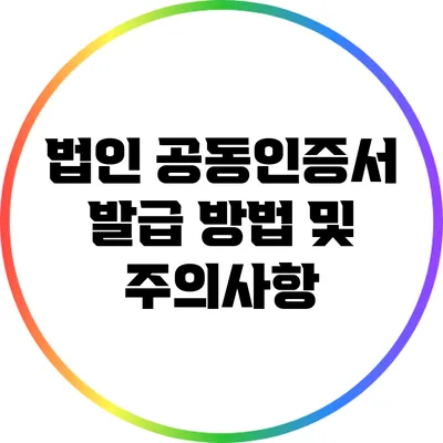 법인 공동인증서 발급 방법 및 주의사항
