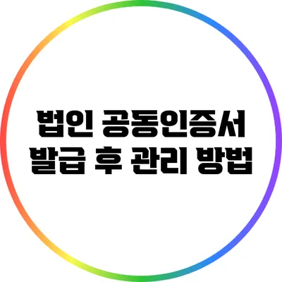 법인 공동인증서 발급 후 관리 방법