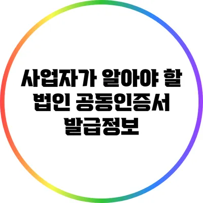 사업자가 알아야 할 법인 공동인증서 발급정보