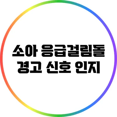 소아 응급걸림돌: 경고 신호 인지