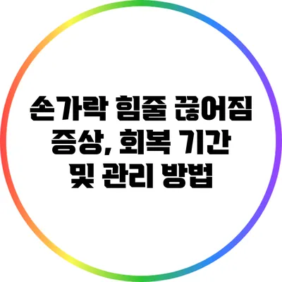 손가락 힘줄 끊어짐: 증상, 회복 기간 및 관리 방법