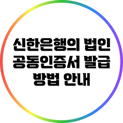 신한은행의 법인 공동인증서 발급 방법 안내