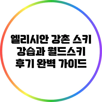 엘리시안 강촌 스키 강습과 월드스키 후기 완벽 가이드
