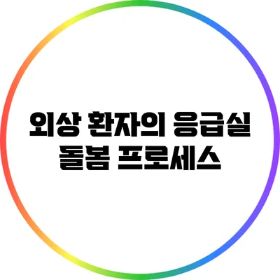 외상 환자의 응급실 돌봄 프로세스