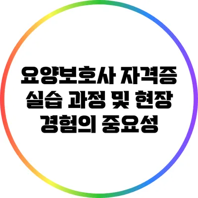 요양보호사 자격증 실습 과정 및 현장 경험의 중요성