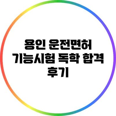 용인 운전면허 기능시험 독학 합격 후기