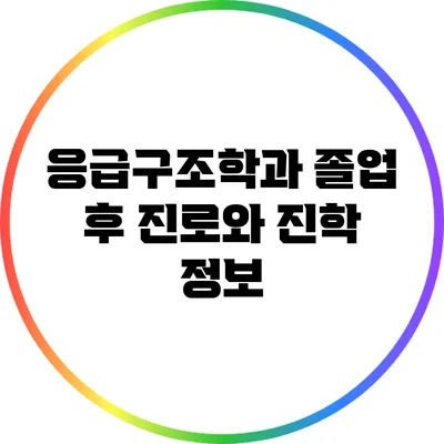 응급구조학과 졸업 후 진로와 진학 정보