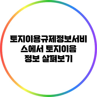 토지이용규제정보서비스에서 토지이음 정보 살펴보기