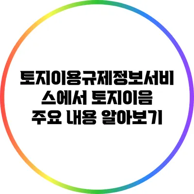 토지이용규제정보서비스에서 토지이음 주요 내용 알아보기