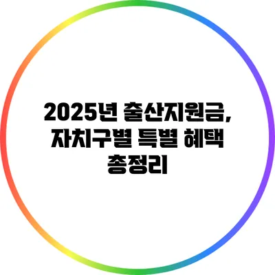 2025년 출산지원금, 자치구별 특별 혜택 총정리