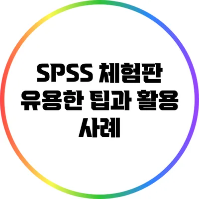 SPSS 체험판 유용한 팁과 활용 사례