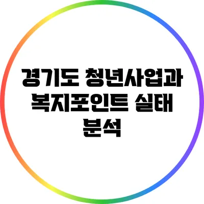 경기도 청년사업과 복지포인트 실태 분석