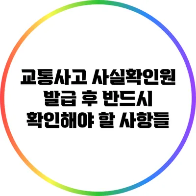 교통사고 사실확인원 발급 후 반드시 확인해야 할 사항들