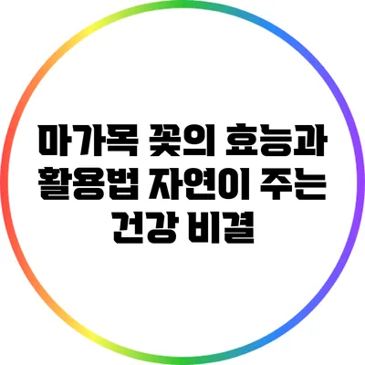 마가목 꽃의 효능과 활용법: 자연이 주는 건강 비결