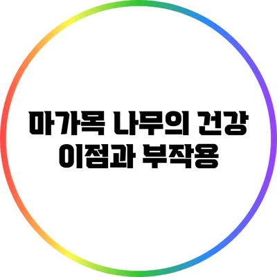 마가목 나무의 건강 이점과 부작용
