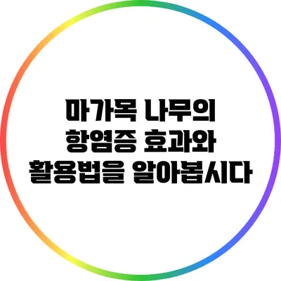 마가목 나무의 항염증 효과와 활용법을 알아봅시다