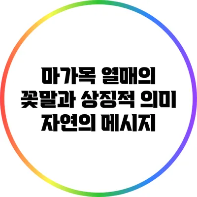 마가목 열매의 꽃말과 상징적 의미: 자연의 메시지