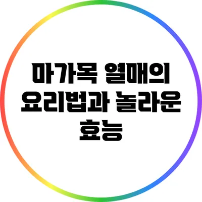 마가목 열매의 요리법과 놀라운 효능