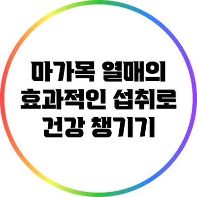 마가목 열매의 효과적인 섭취로 건강 챙기기