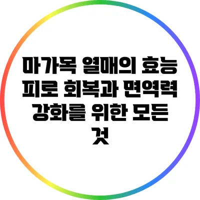 마가목 열매의 효능: 피로 회복과 면역력 강화를 위한 모든 것
