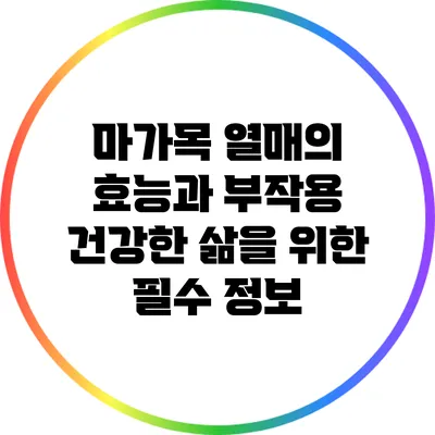 마가목 열매의 효능과 부작용: 건강한 삶을 위한 필수 정보