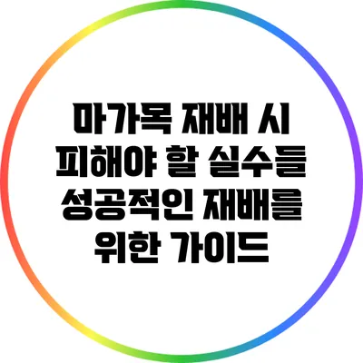 마가목 재배 시 피해야 할 실수들: 성공적인 재배를 위한 가이드