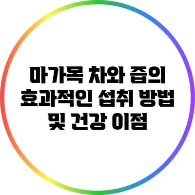 마가목 차와 즙의 효과적인 섭취 방법 및 건강 이점