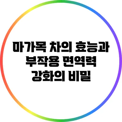 마가목 차의 효능과 부작용: 면역력 강화의 비밀