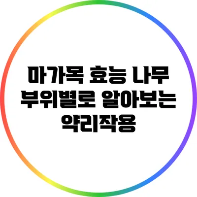 마가목 효능: 나무 부위별로 알아보는 약리작용