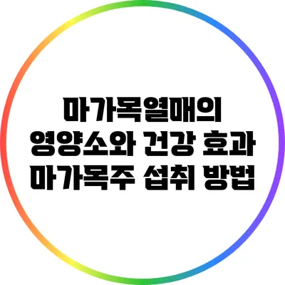 마가목열매의 영양소와 건강 효과: 마가목주 섭취 방법