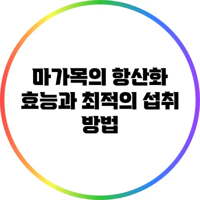 마가목의 항산화 효능과 최적의 섭취 방법