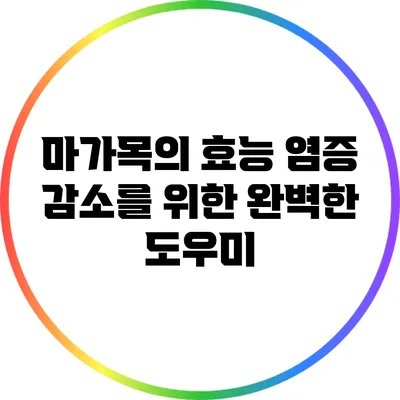 마가목의 효능: 염증 감소를 위한 완벽한 도우미