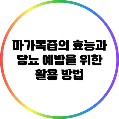 마가목즙의 효능과 당뇨 예방을 위한 활용 방법