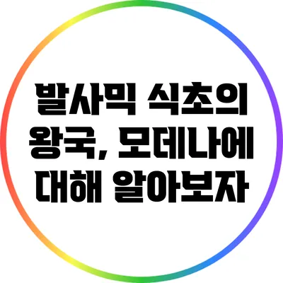 발사믹 식초의 왕국, 모데나에 대해 알아보자