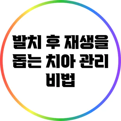 발치 후 재생을 돕는 치아 관리 비법