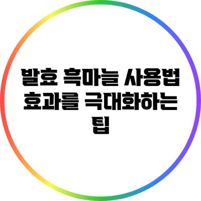 발효 흑마늘 사용법: 효과를 극대화하는 팁