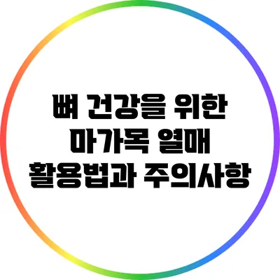 뼈 건강을 위한 마가목 열매 활용법과 주의사항