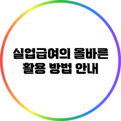 실업급여의 올바른 활용 방법 안내